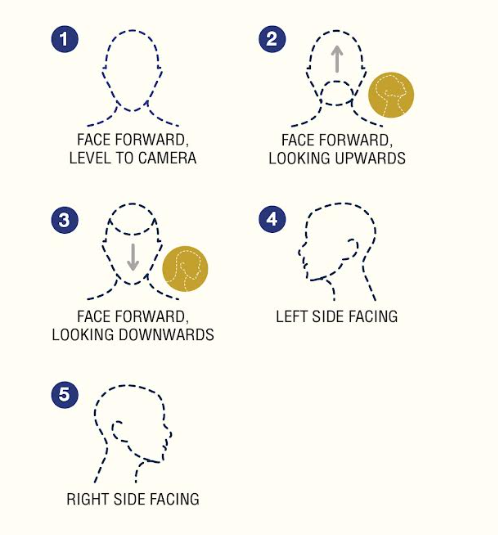 Face Guidelines for assessments